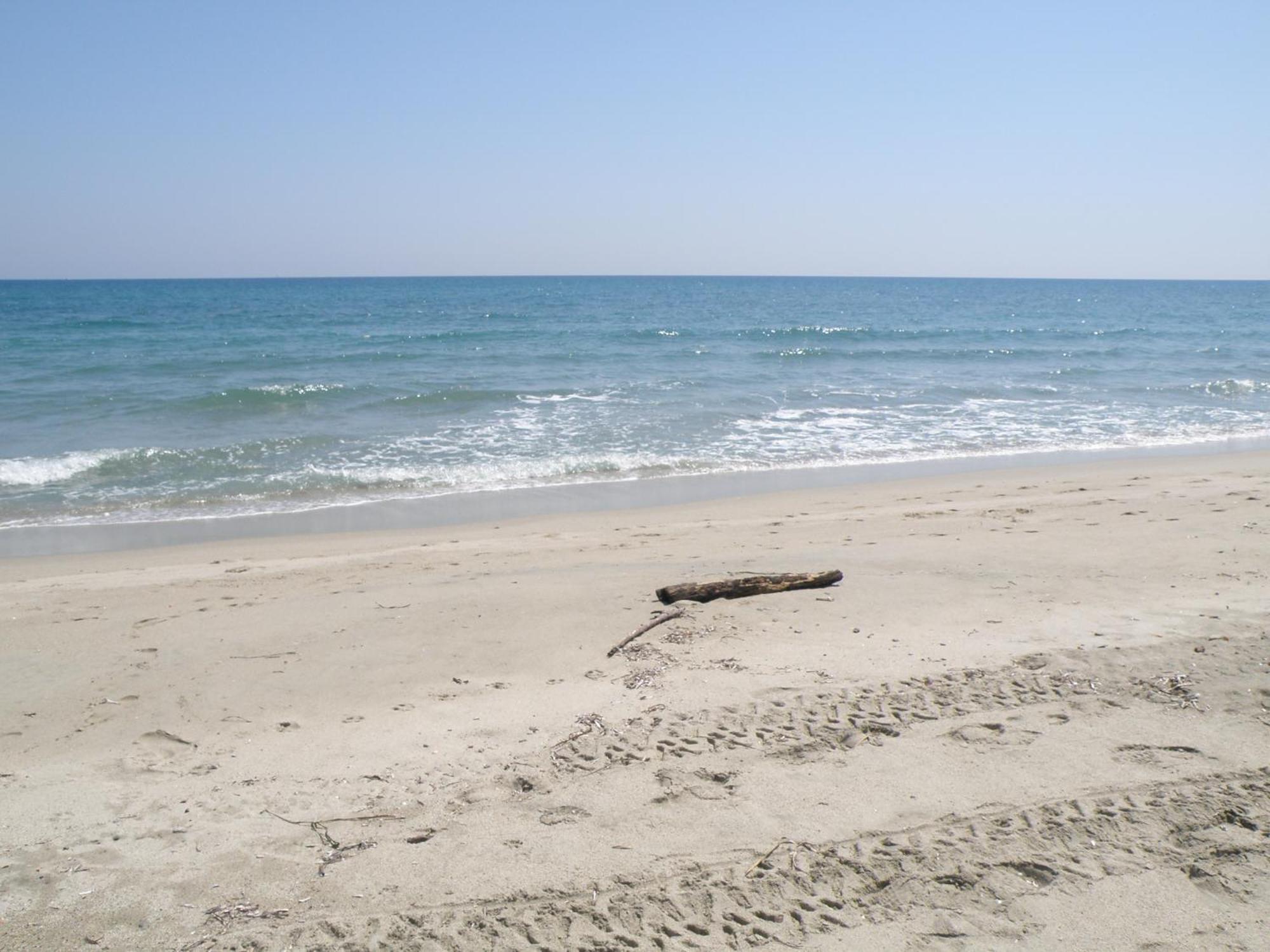 Residence De Tourisme Marina Corsa جيزنوكسيا المظهر الخارجي الصورة