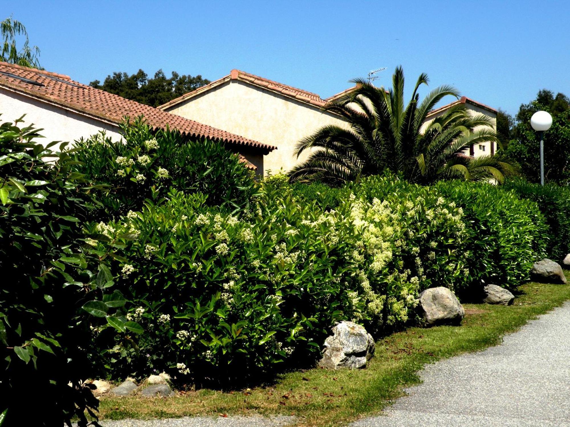 Residence De Tourisme Marina Corsa جيزنوكسيا المظهر الخارجي الصورة